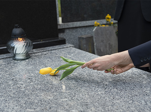 mairie-evinmalmaison